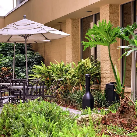 Doubletree By Hilton Hotel Tampa Airport-Westshore-2